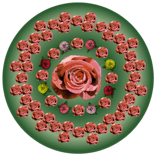 Roses Mandala