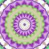 Floral Fantasy IV