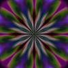 Floral Fantasy V