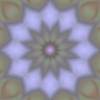 Star Flower